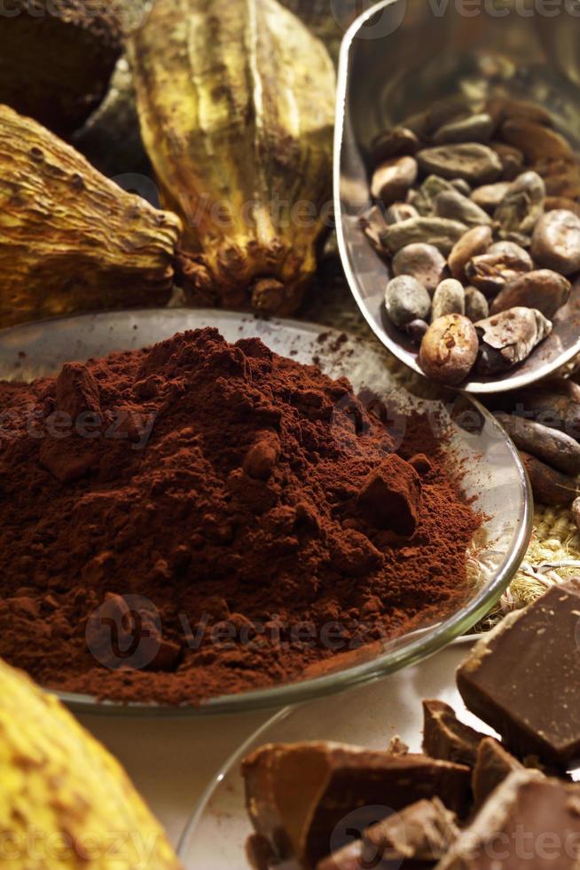 cacao in polvere nella ciotola, fave di cacao e pezzi di cioccolato foto