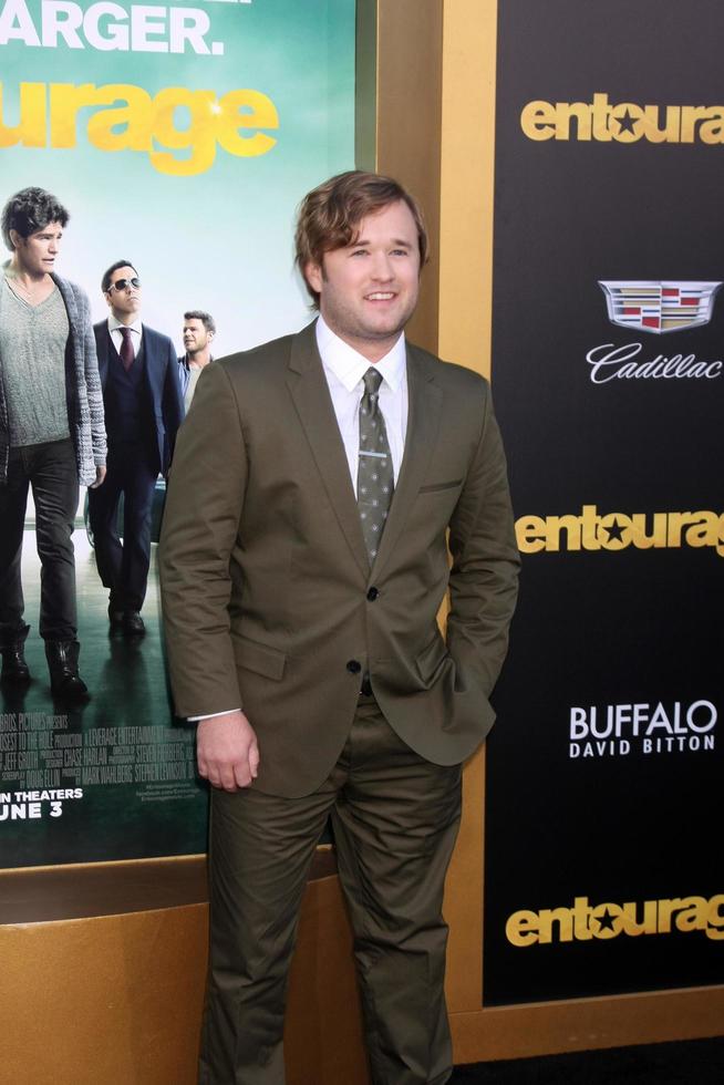 los angeles, Maggio 27 - haley gioele osment a il entourage film prima a il villaggio Teatro su Maggio 27, 2015 nel Westwood, circa foto