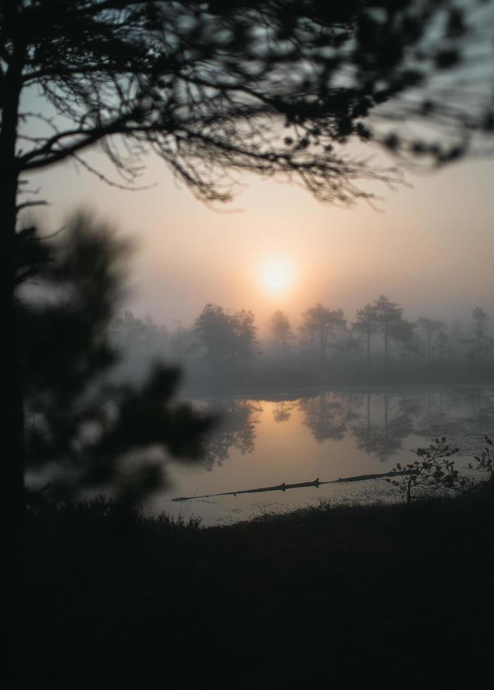 tramonto arancione sul lago nebbioso foto