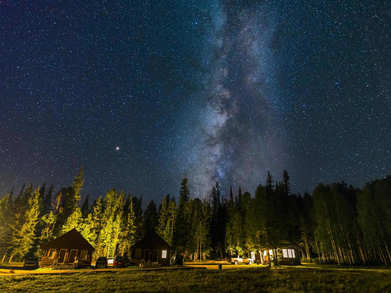 alberi verdi sotto il cielo blu con stelle durante la notte foto