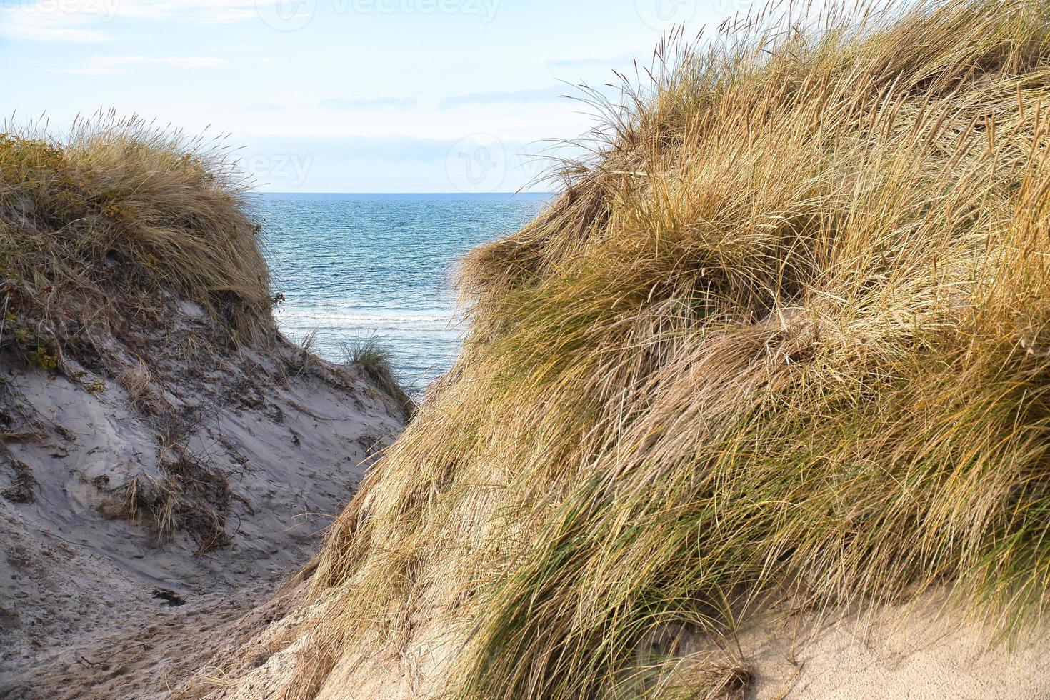 spiaggia attraversamento nel Danimarca di il mare. dune, sabbia acqua e nuvole su il costa foto