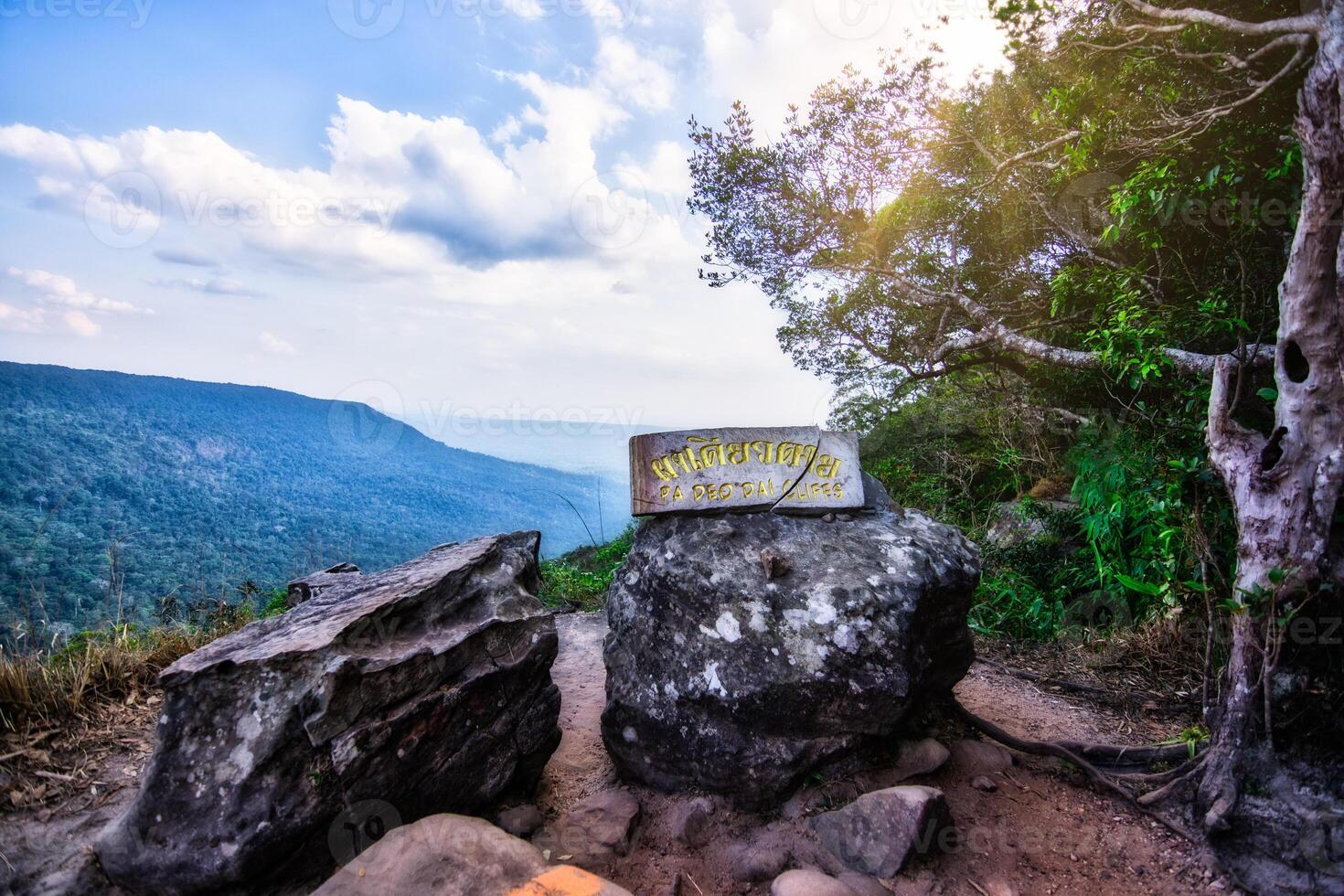 rocce nella foresta foto