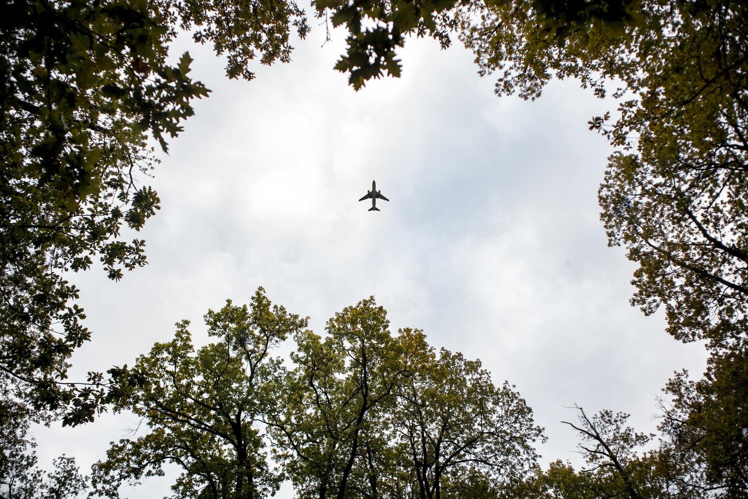 aereo che vola sopra gli alberi foto