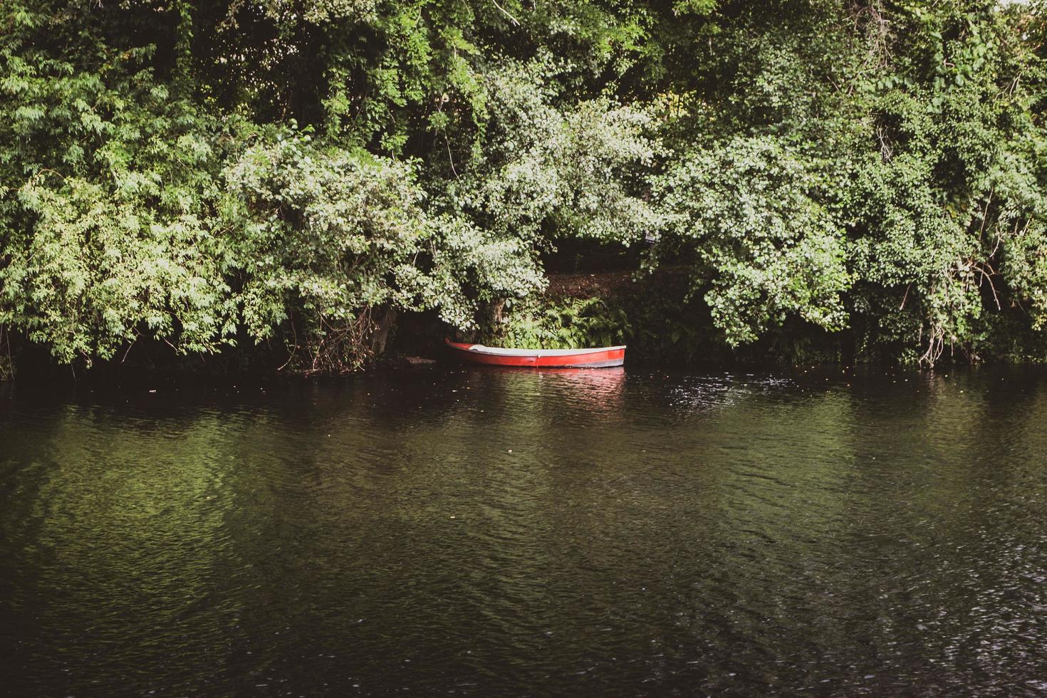 canoa rossa sulla riva del fiume foto
