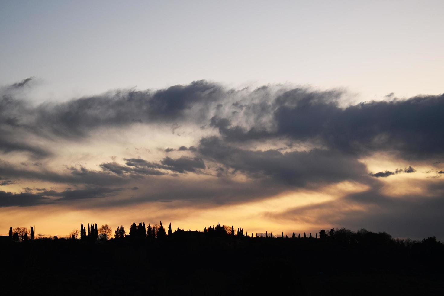 silhouette di alberi sotto il cielo nuvoloso durante il tramonto foto