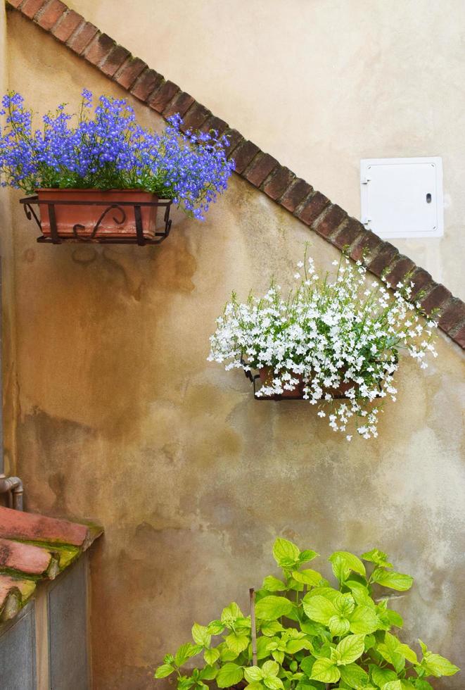 vasi di fiori sul muro del villaggio rustico foto