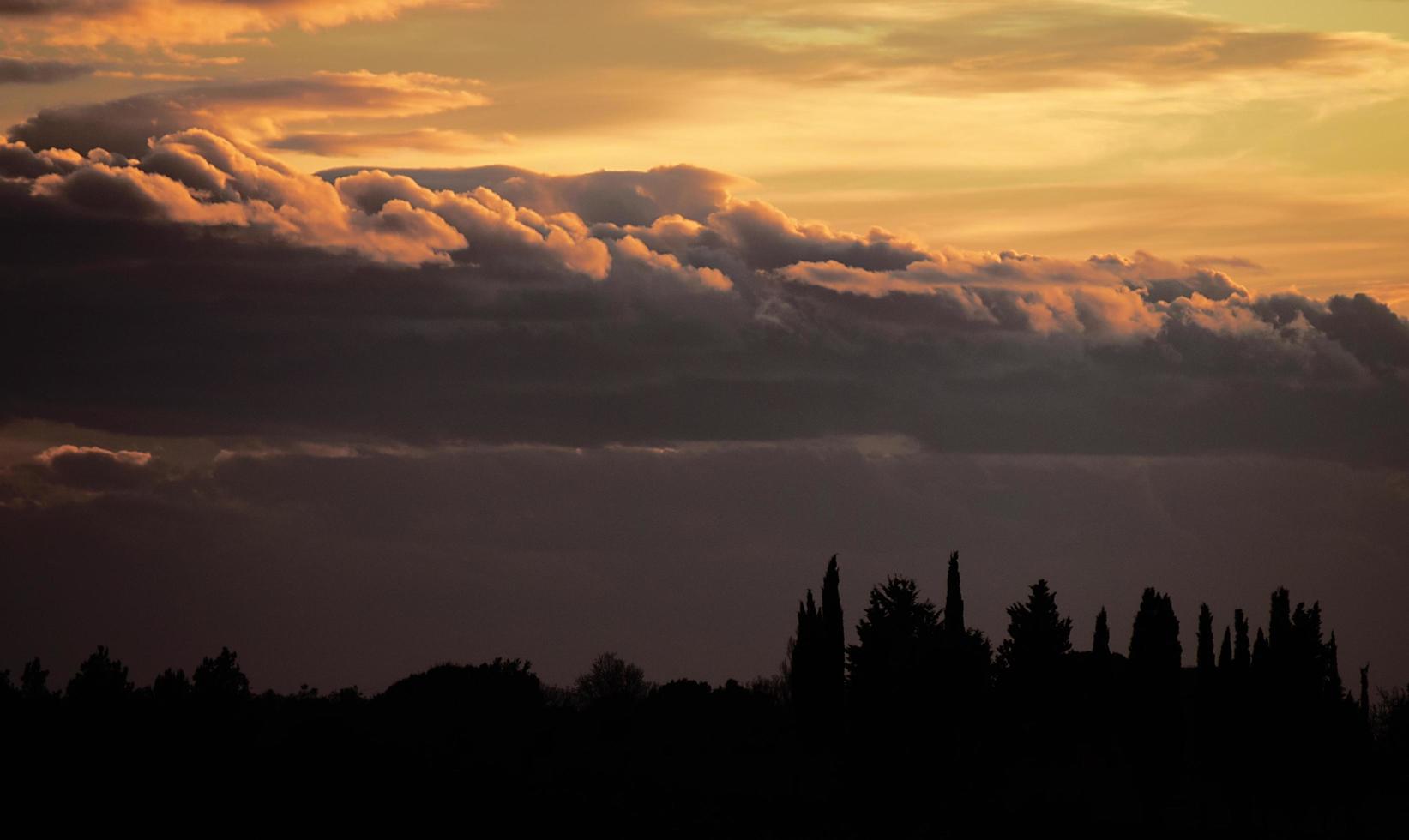 silhouette di alberi sotto il cielo al tramonto foto