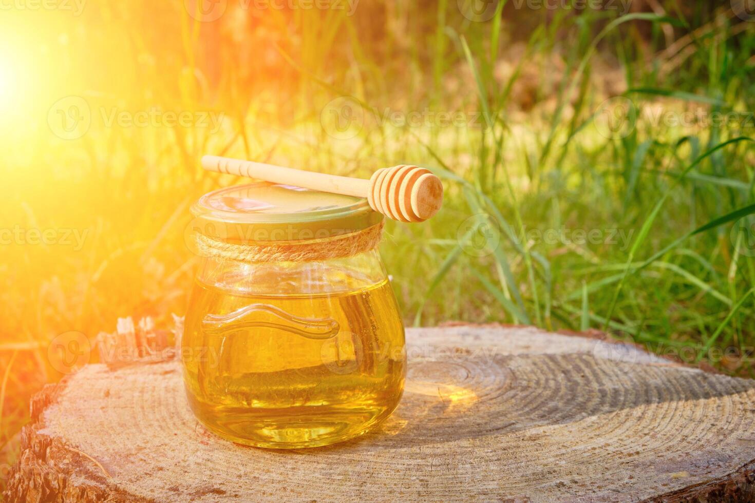 vaso miele e cucchiaio per miele nel foresta su ceppo. 14197104 Stock Photo  su Vecteezy