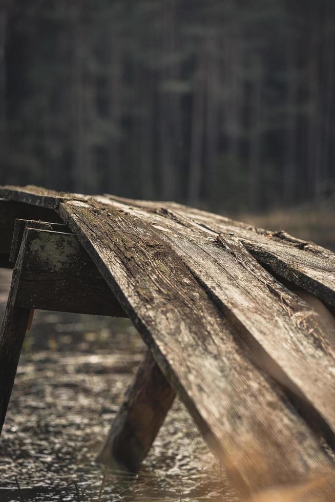 passerella in legno marrone nel bosco foto