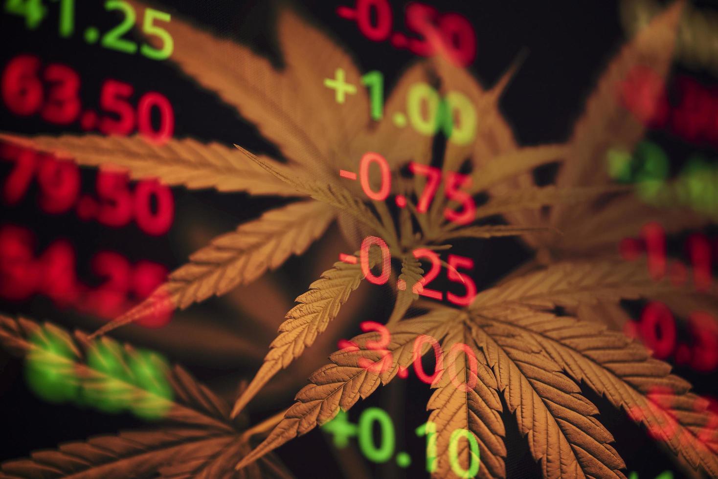 attività commerciale marijuana canapa le foglie con azione grafico grafici su il azione mercato scambio o commercio analisi investimento - commerciale canapa medicina i soldi crisi e crescita più alto valore concetto foto