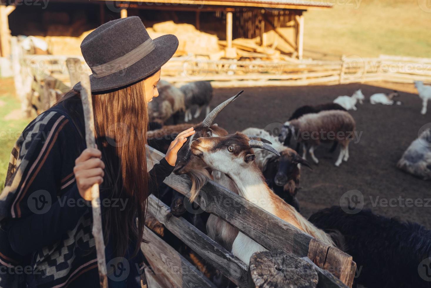 un' giovane bellissimo donna vicino un' penna con capre foto