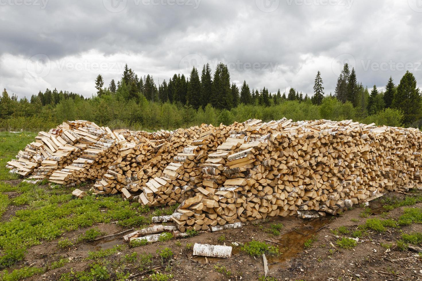 mucchio di tritato legna da ardere logs foto