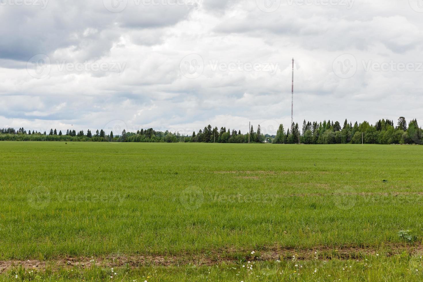 cellula Torre nel il villaggio, verde campo e cellula Torre contro un' nuvoloso cielo foto