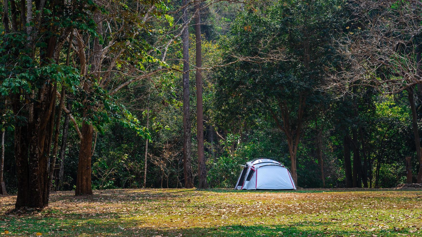 tenda nel parco foto