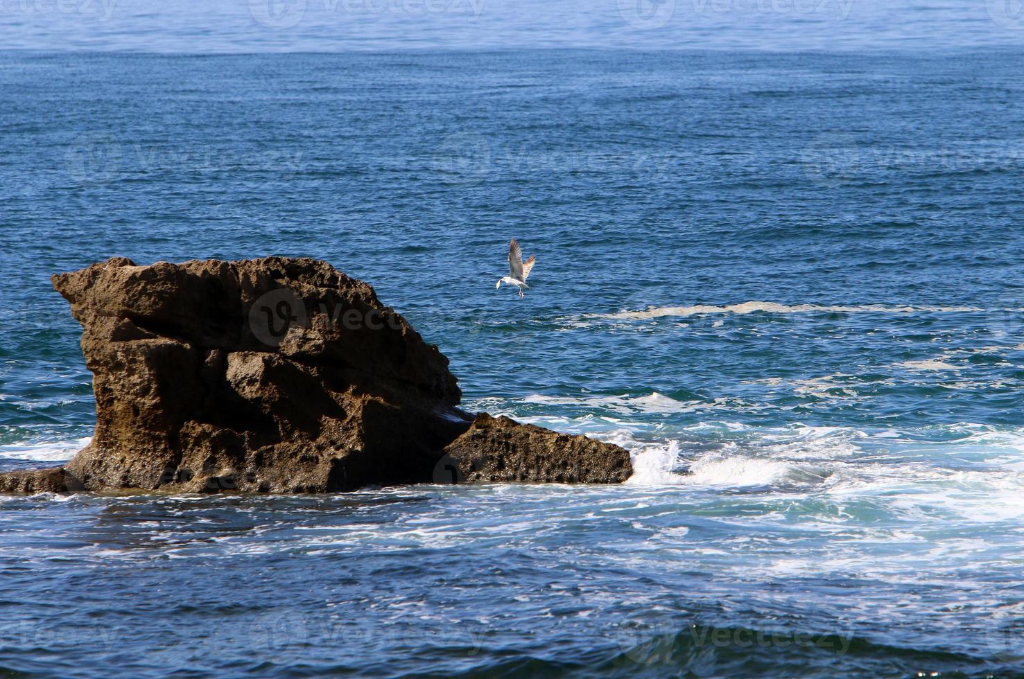 il pietre menzogna su il sponde di il mediterraneo mare. foto