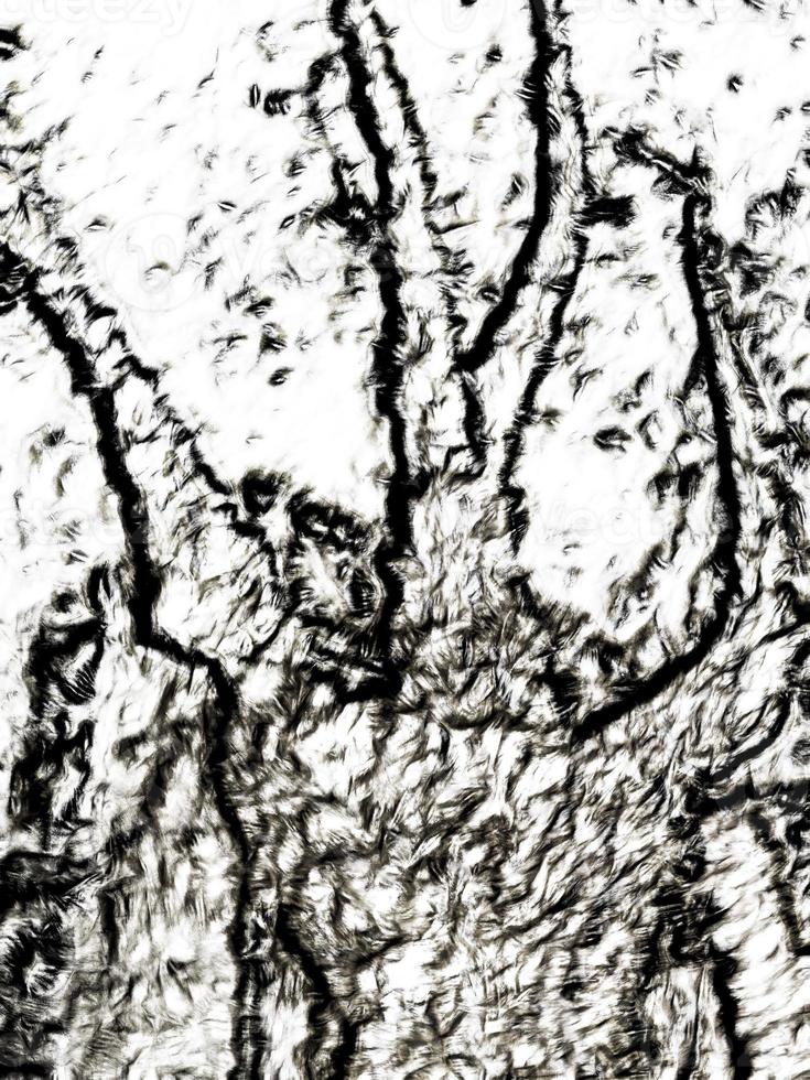 illustrazione digitale sfondo di rami di albero foto