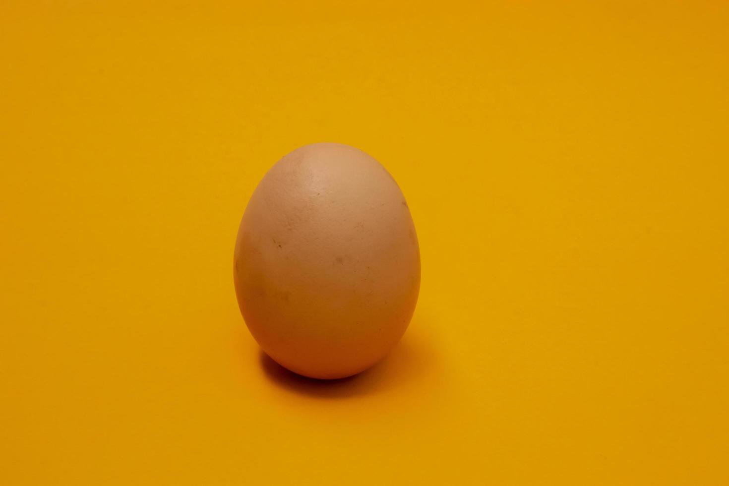 Due pollo uova isolato su sfondo foto