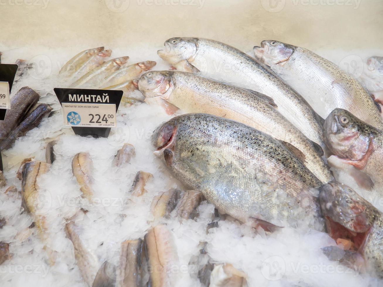 pesce negozio. vendita di pollock. raffreddato trota su il contatore. pesce nel Ghiaccio. salutare dieta. foto