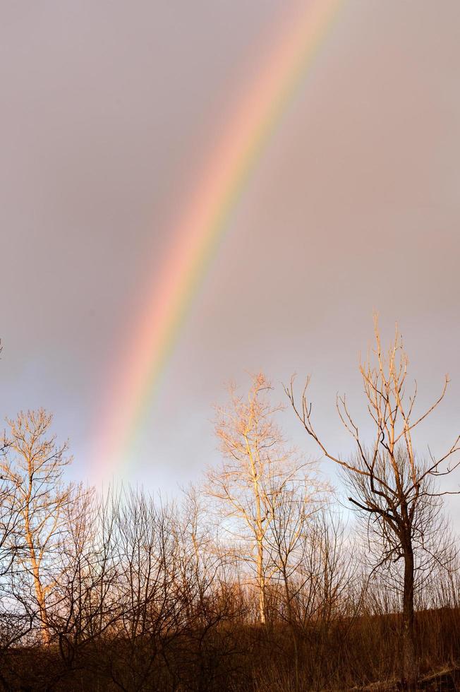 arcobaleno nel presto primavera nel il ucraino villaggio su un' sfondo di alberi senza le foglie. foto