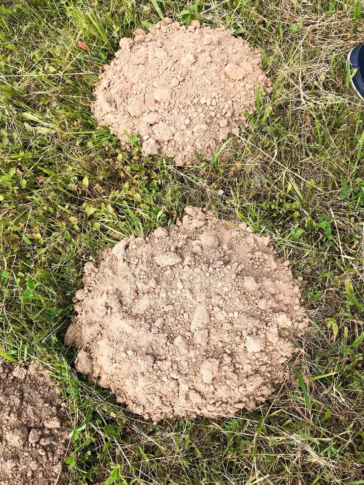 il giro terroso Talpa tane. case nei contro il sfondo di verde erba. il sfondo foto