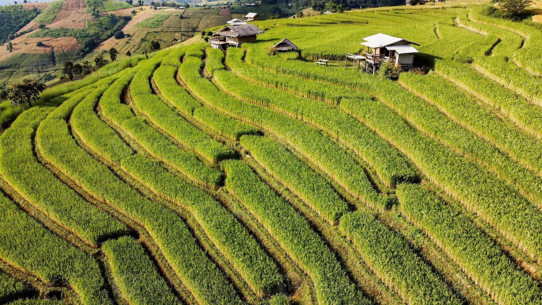 aereo Visualizza di riso terrazza a bandire papà bong piang nel chiang Mai Tailandia foto