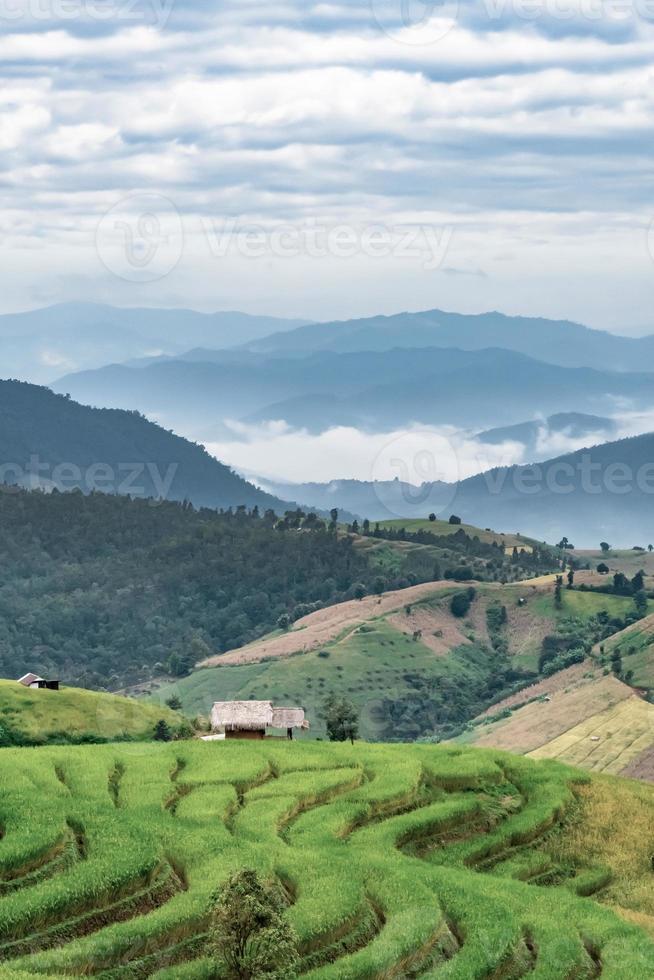 paesaggio di riso terrazza a bandire papà bong piang nel chiang Mai Tailandia foto