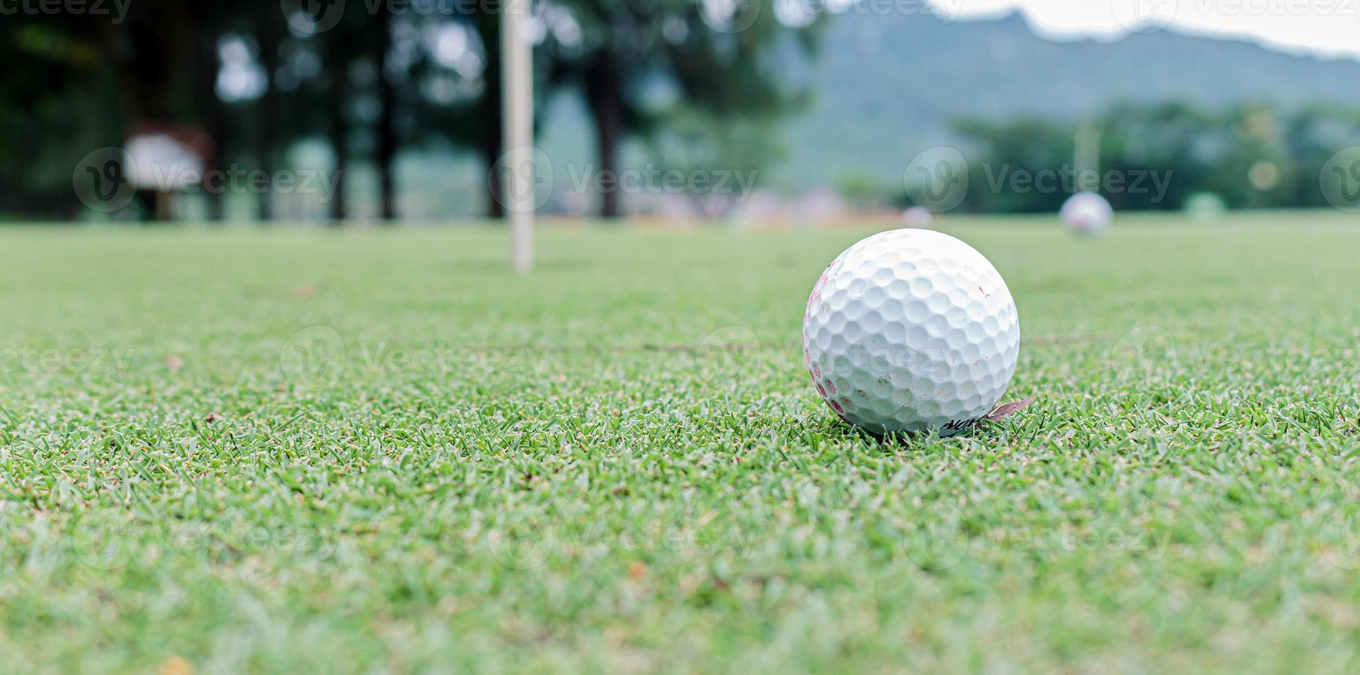 pallina da golf su erba verde foto