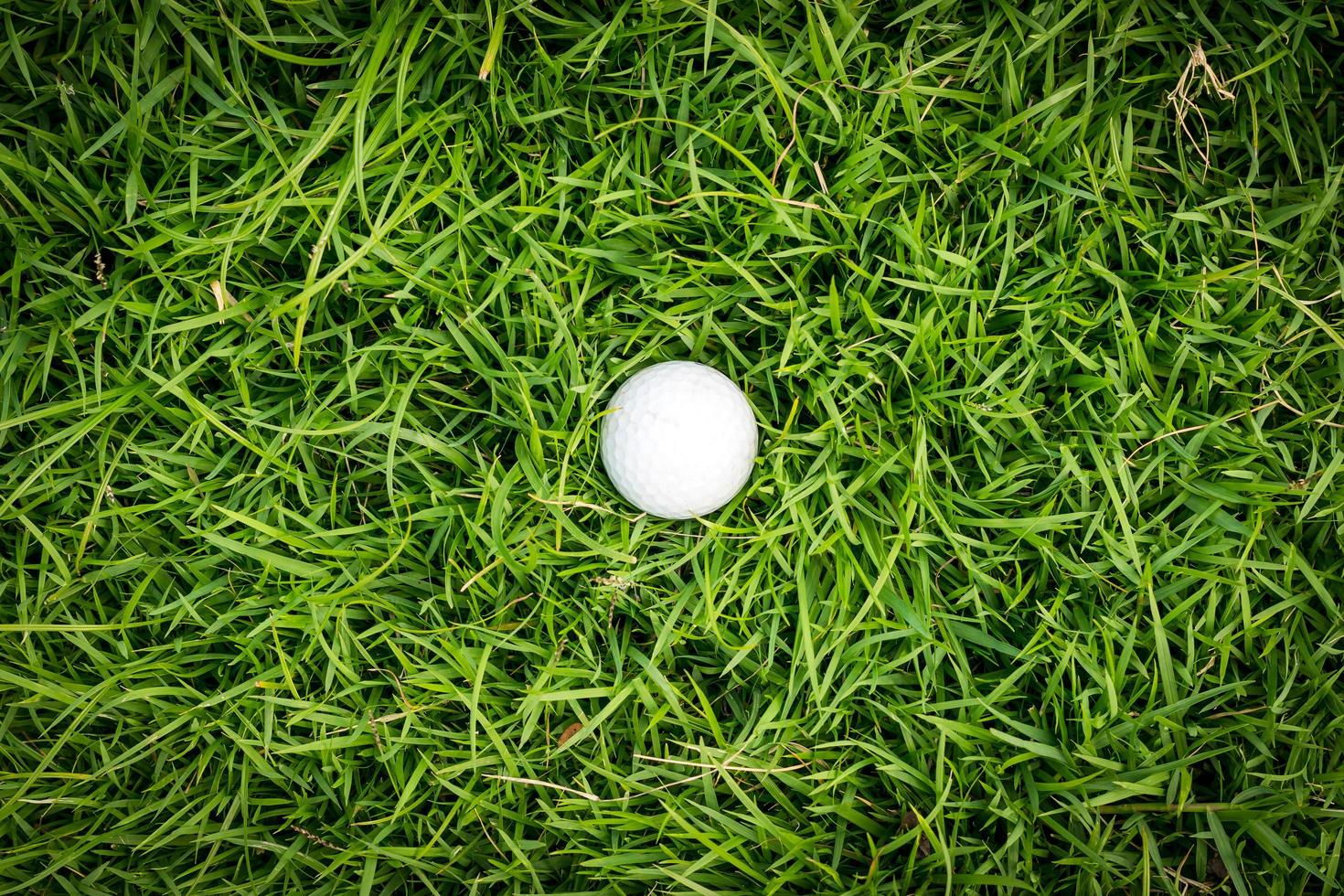 pallina da golf su erba verde foto