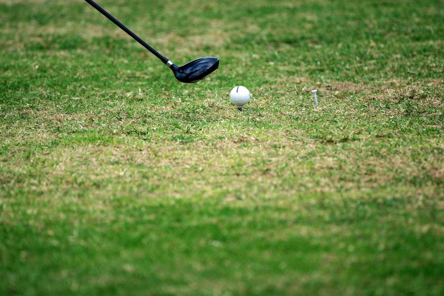 Close up della pallina da golf sul tee foto