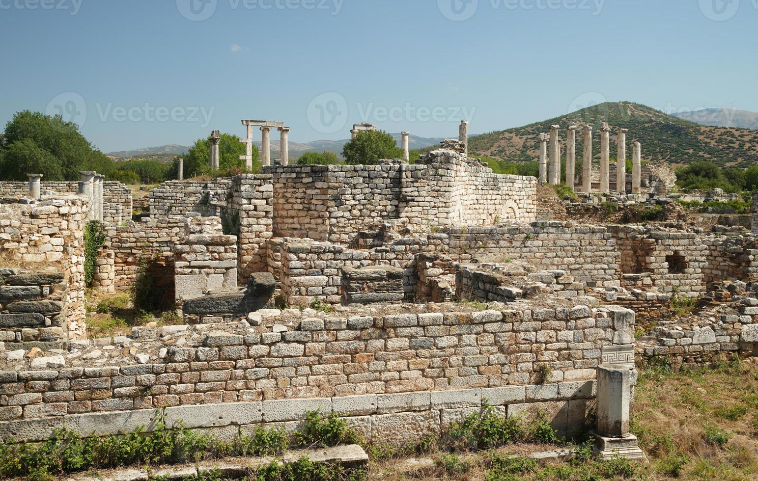 atrio Casa nel afrodisia antico città nel aydin, turkiye foto