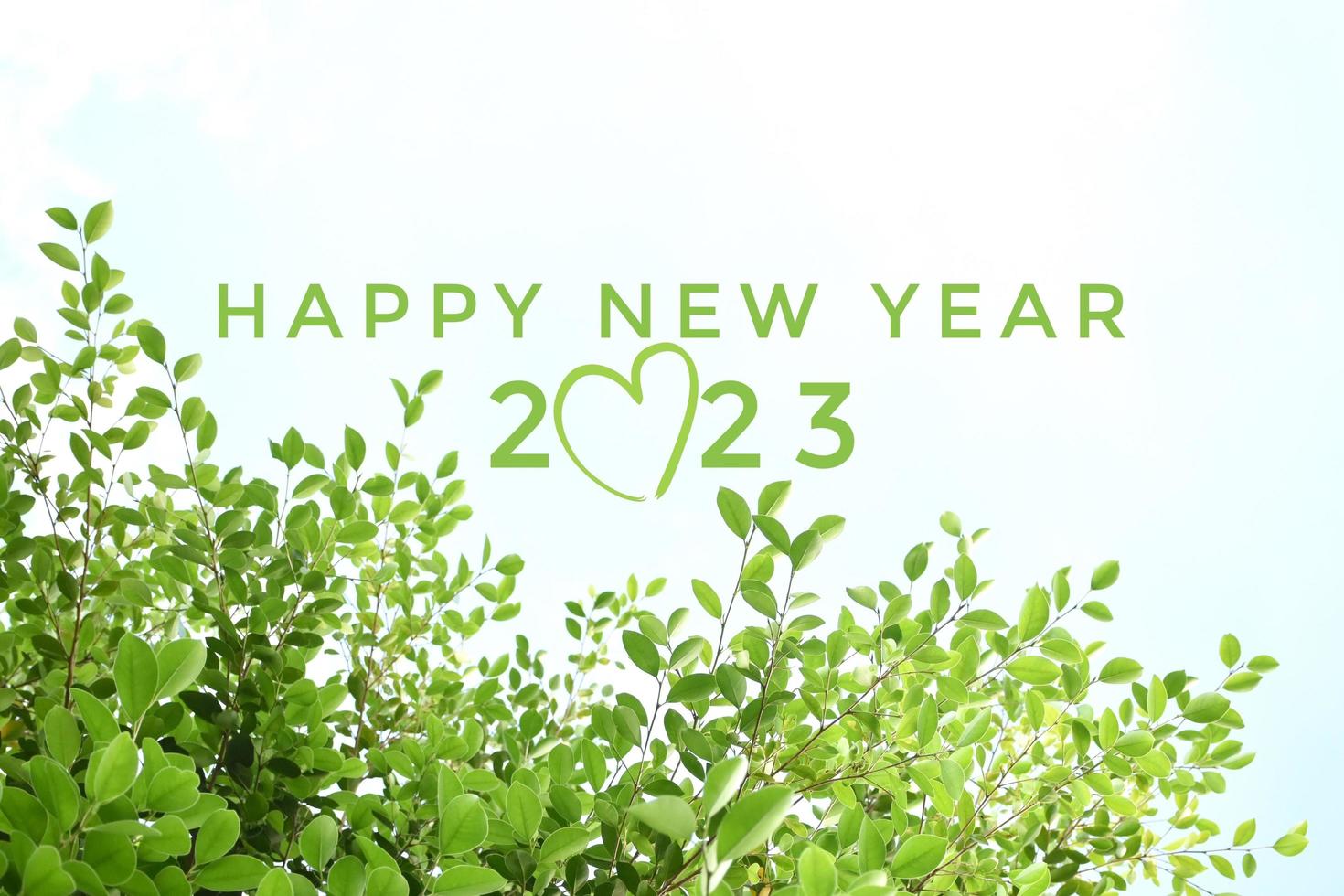 'felice nuovo anno 2023' nel verde colore con ficus rami e le foglie sfondo, concetto per saluto invito carta e contento nuovo anno 2023 concetto. foto
