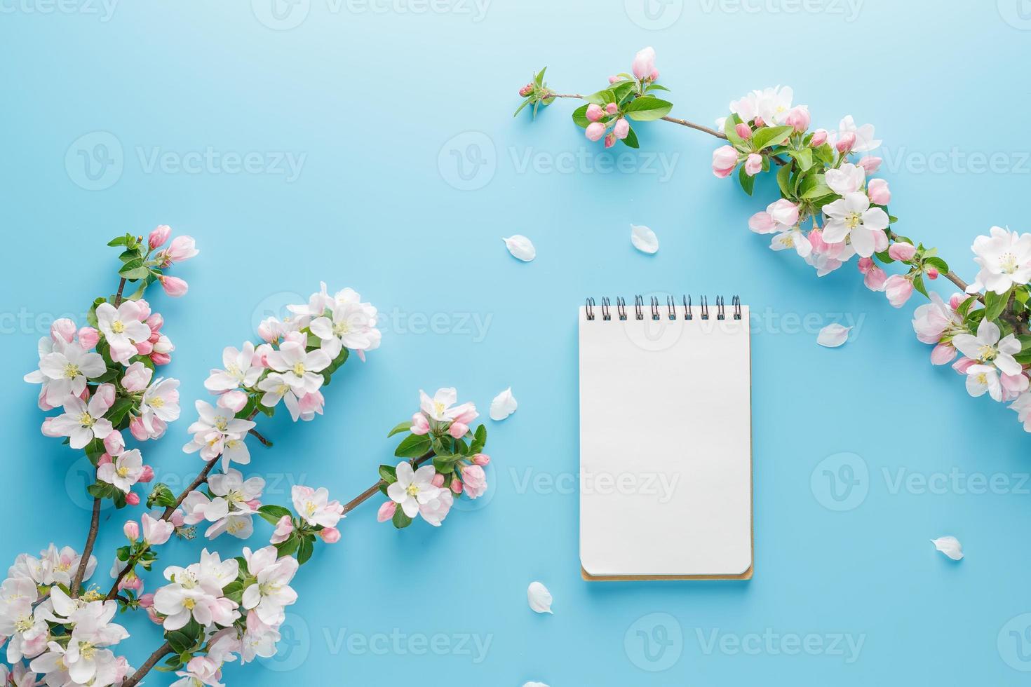 fioritura primavera sakura su un' blu sfondo con bloc notes spazio per un' saluto Messaggio. il concetto di primavera e La madre di giorno. bellissimo delicato rosa ciliegia fiori nel primavera foto