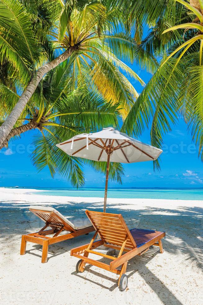 bellissimo panoramico natura. tropicale spiaggia soleggiato come estate isola paesaggio con sedie ombrello palma le foglie calma mare costa, costa. lusso viaggio panoramico destinazione bandiera per vacanza o vacanza foto