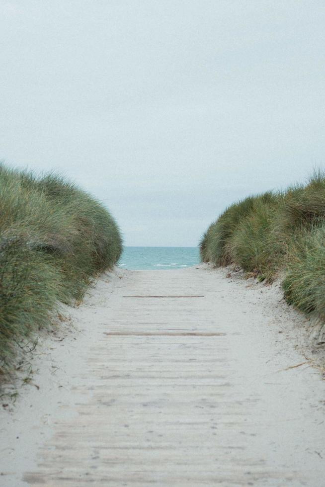 sentiero per la spiaggia foto