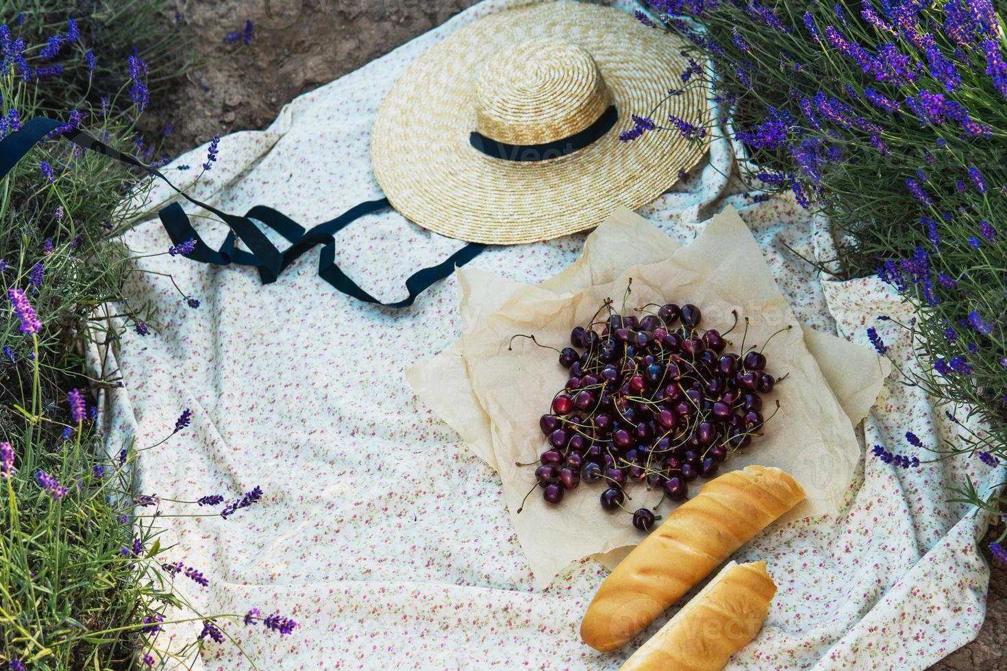 ciliegia frutti di bosco e baguette su il coperta durante picnic nel il lavanda campo foto