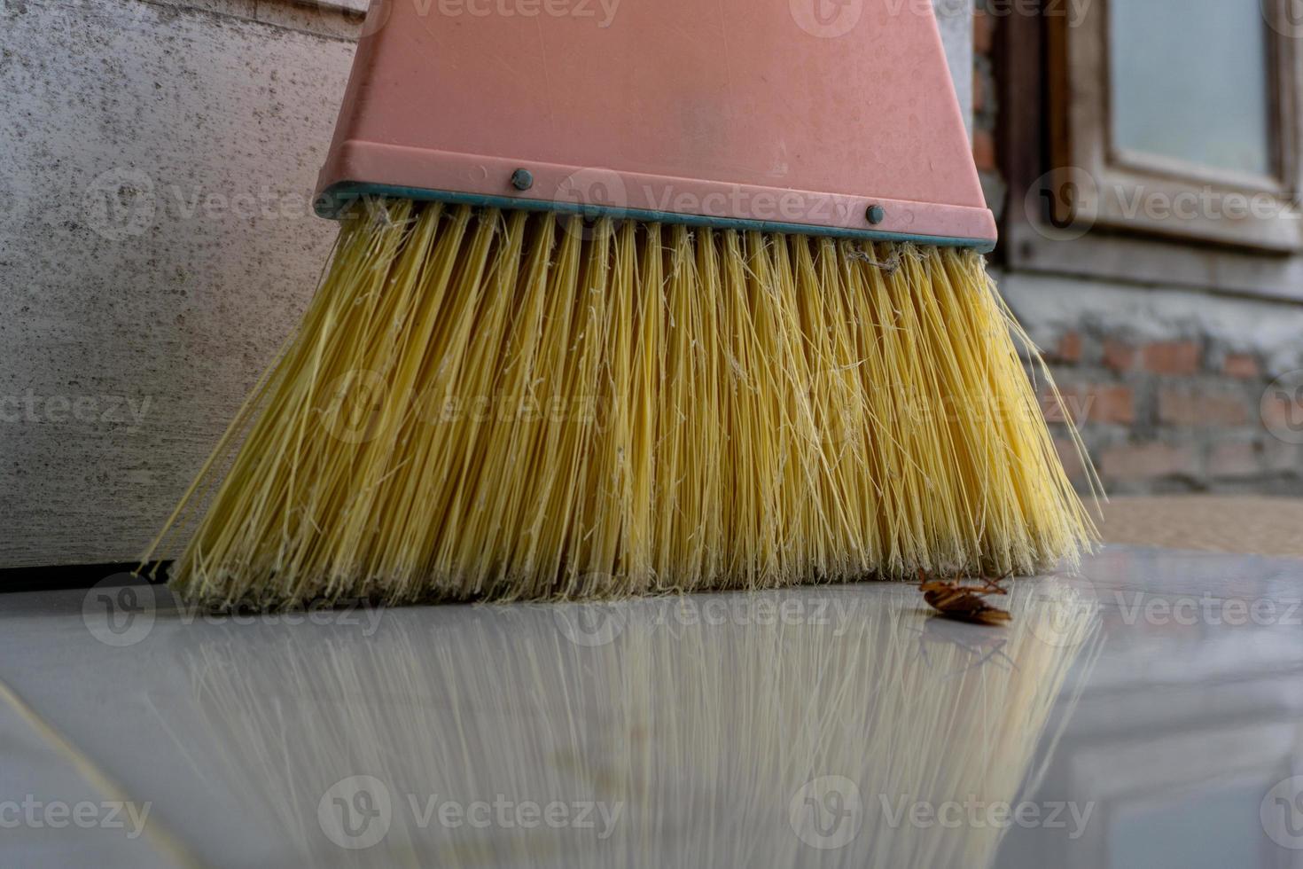 morto scarafaggio spazzare con scopa foto