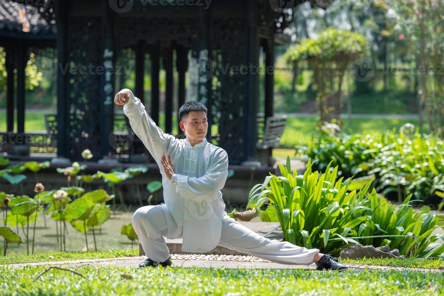 asiatico uomo allenarsi con tai chi nel il mattina a il parco, Cinese marziale arti, salutare cura per salutare vita concetto. foto