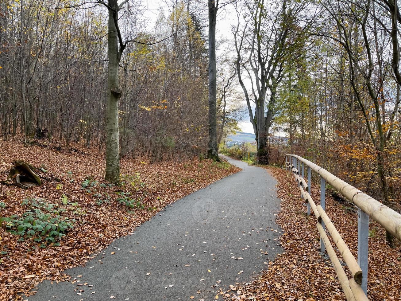 Visualizza di strada nel colorato foresta nel autunno. bellissimo paesaggio con carreggiata, rosso e arancia le foglie nel autunno. foto