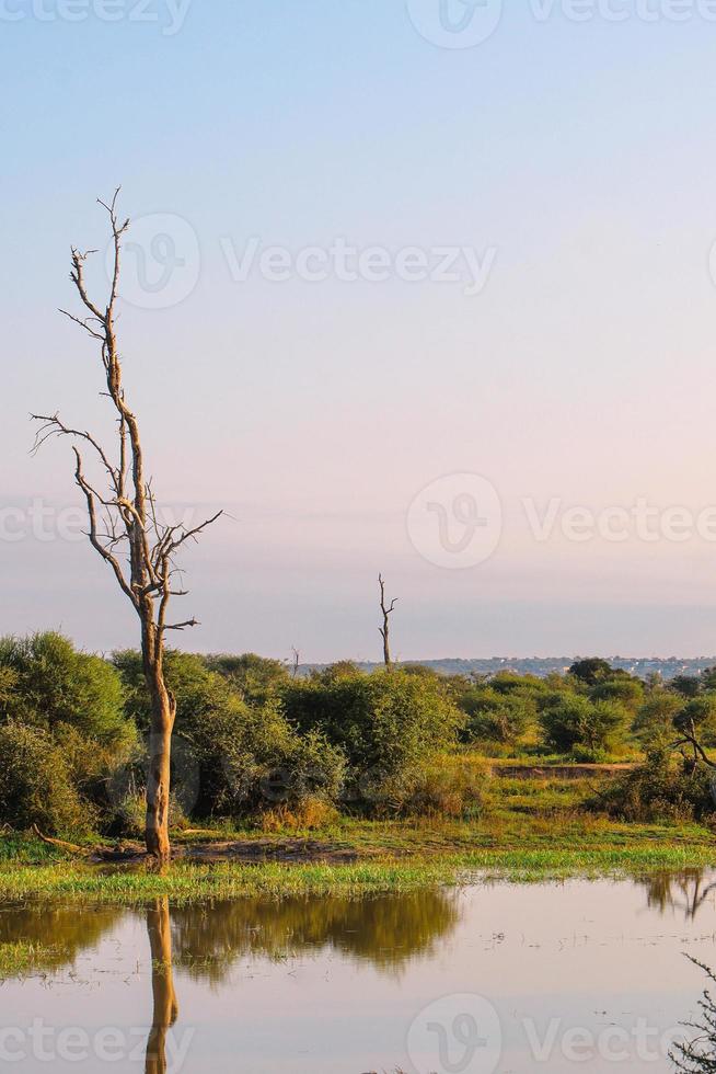 paesaggi di meridionale Africa foto