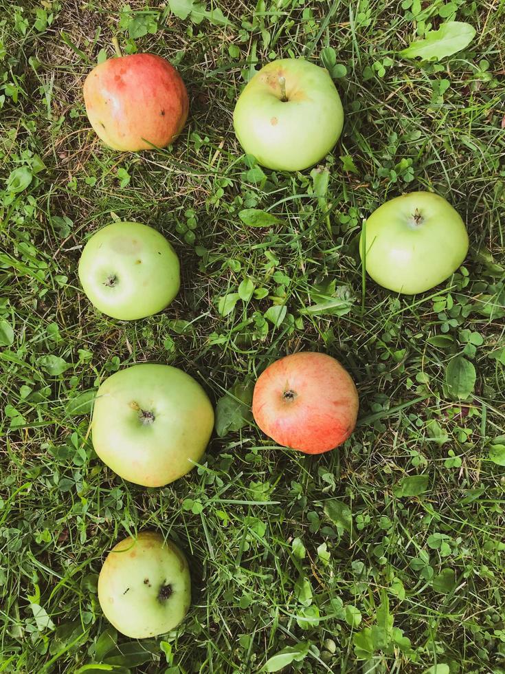 lettere a partire dal mele. lettera p, Mela iscrizione. lettere per parola, Congratulazioni, creativo Immagine di parole. commestibile lettera, verde, rosso mele, frutta iscrizione su verde erba foto