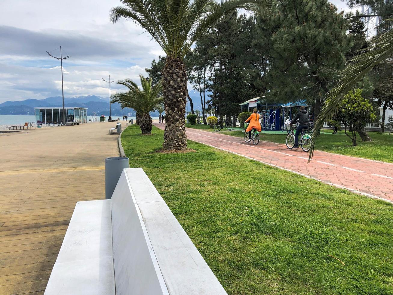 persone cavalcata un' bicicletta lungo un vicolo con verde palma alberi nel un' parco nel il caldo tropicale mare ricorrere di il estate. Georgia, tbilisi, aprile 16, 2019 foto