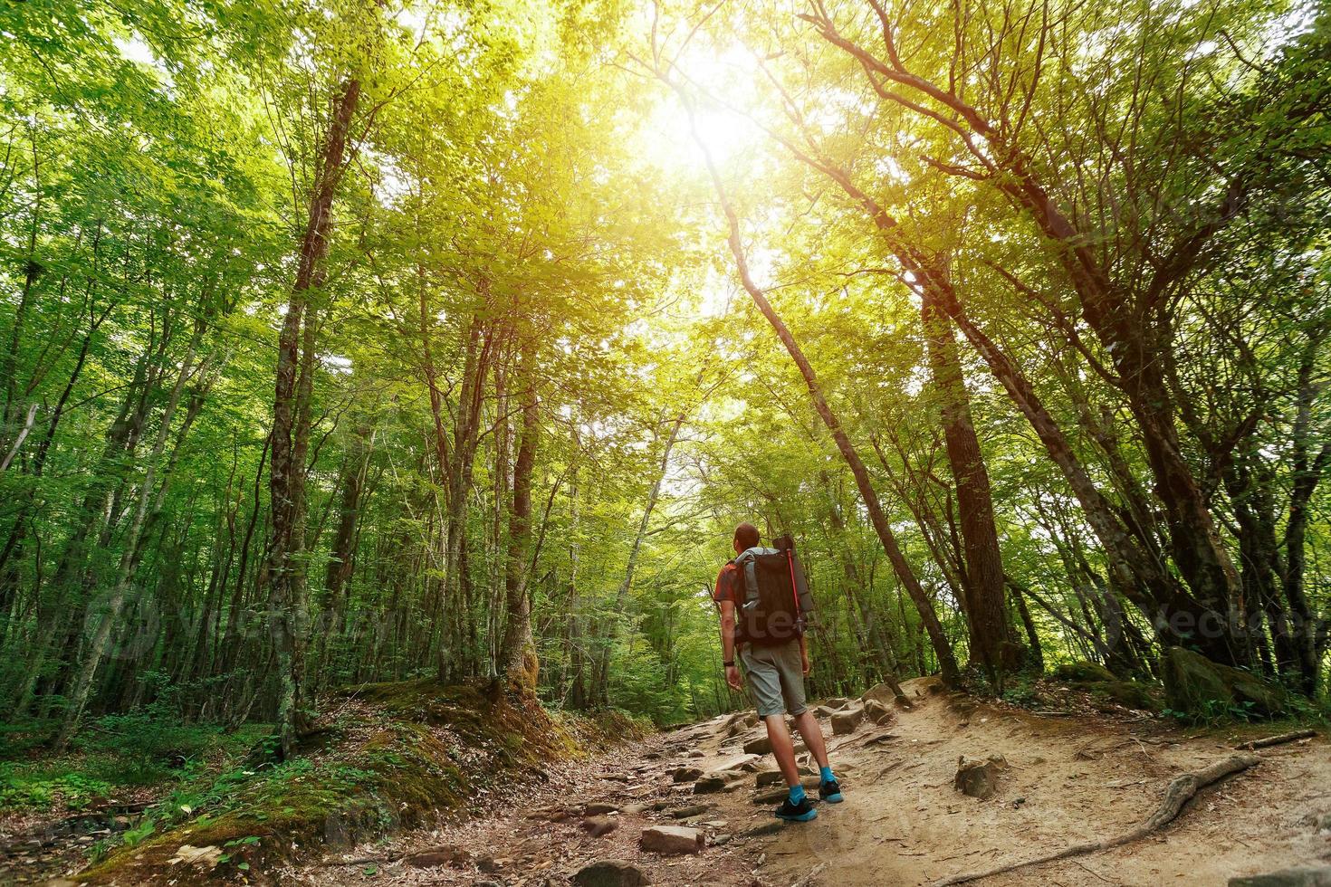 un' viaggiatore con un' zaino nel il primavera foresta su il sentiero sembra avanti. luce del sole attraverso il corone di alberi. foto