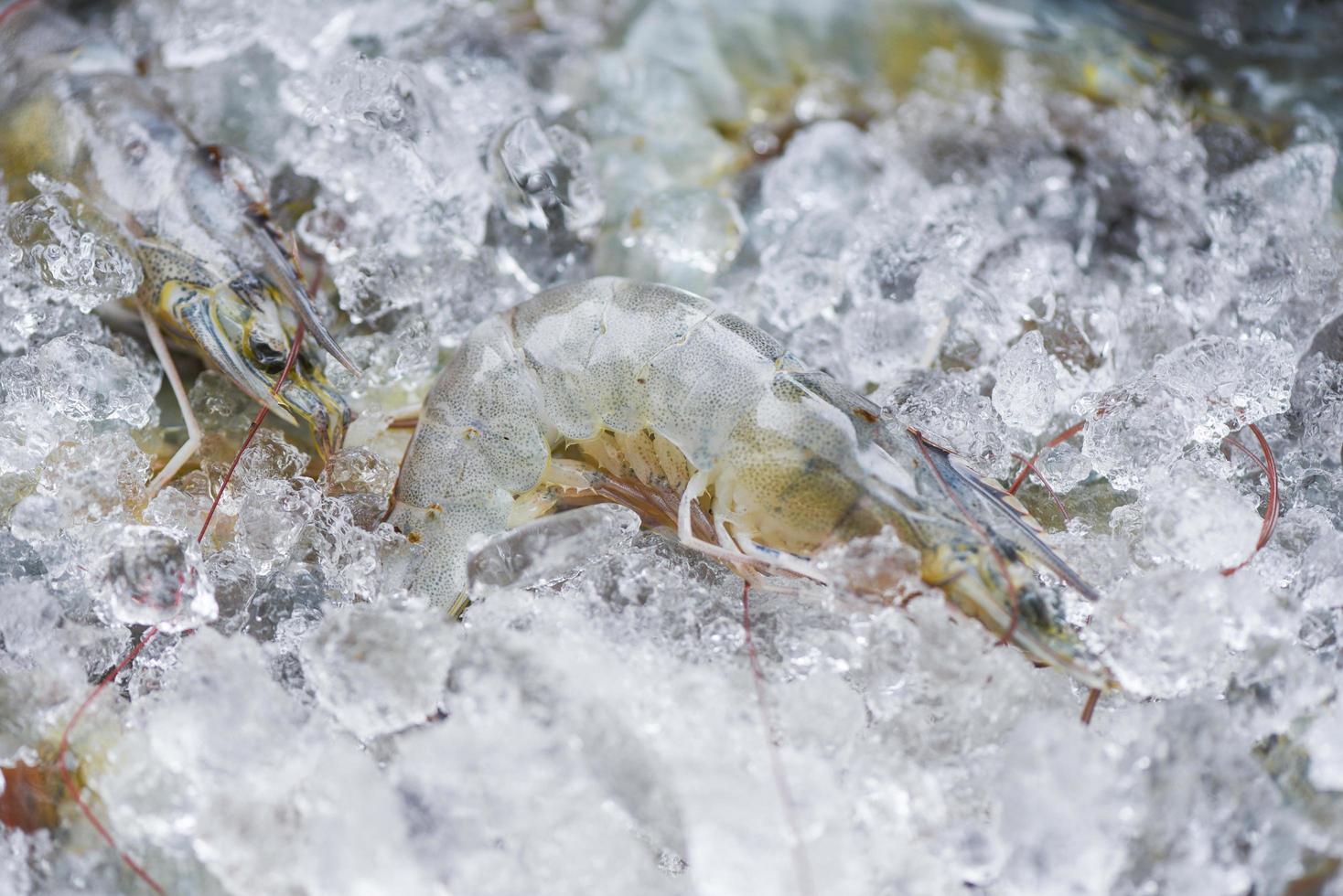 crudo gamberetti gamberi su ghiaccio congelato a il frutti di mare ristorante o mercato fresco gamberetto frutti di mare foto