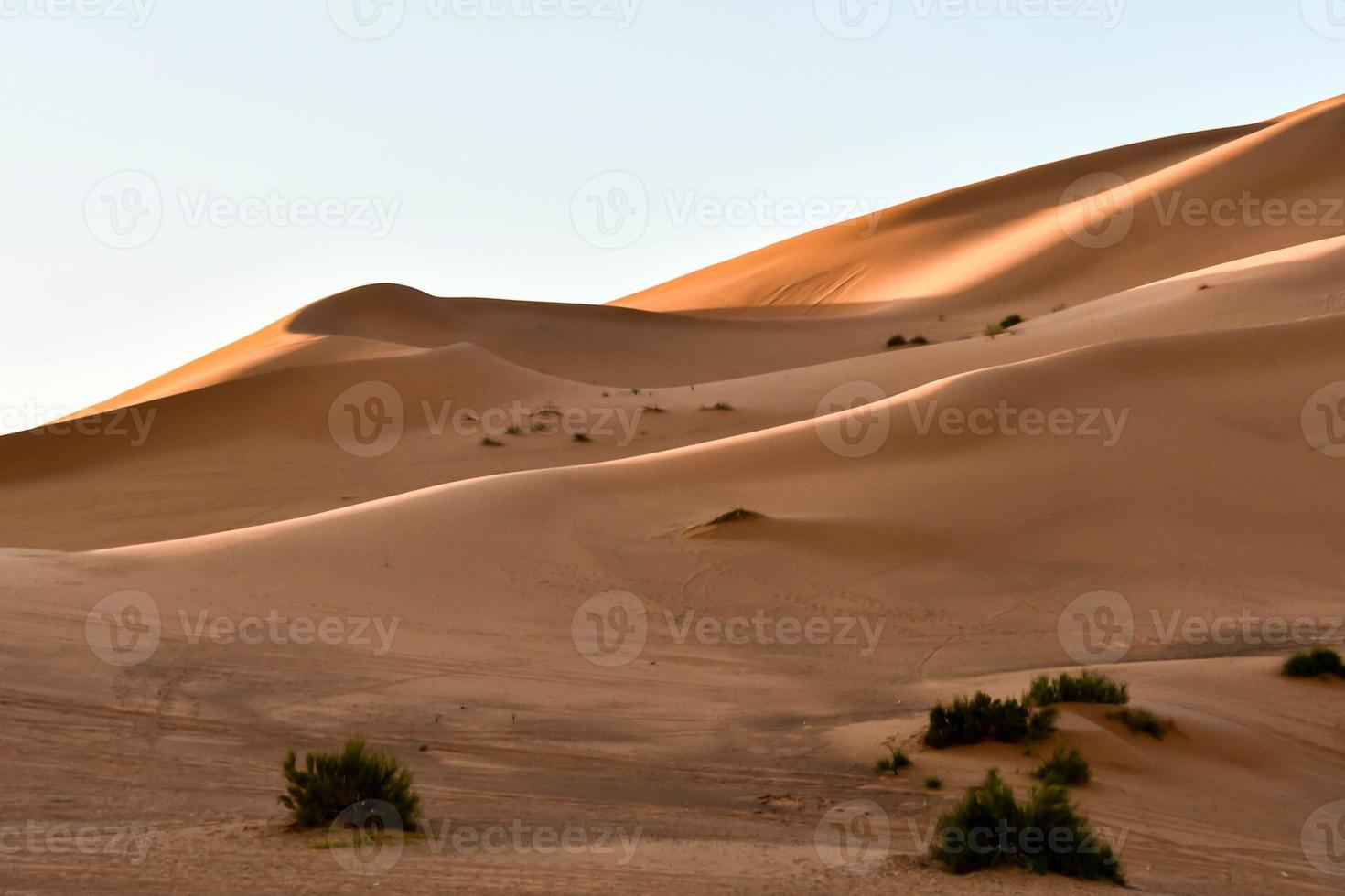 sabbia dune paesaggio foto