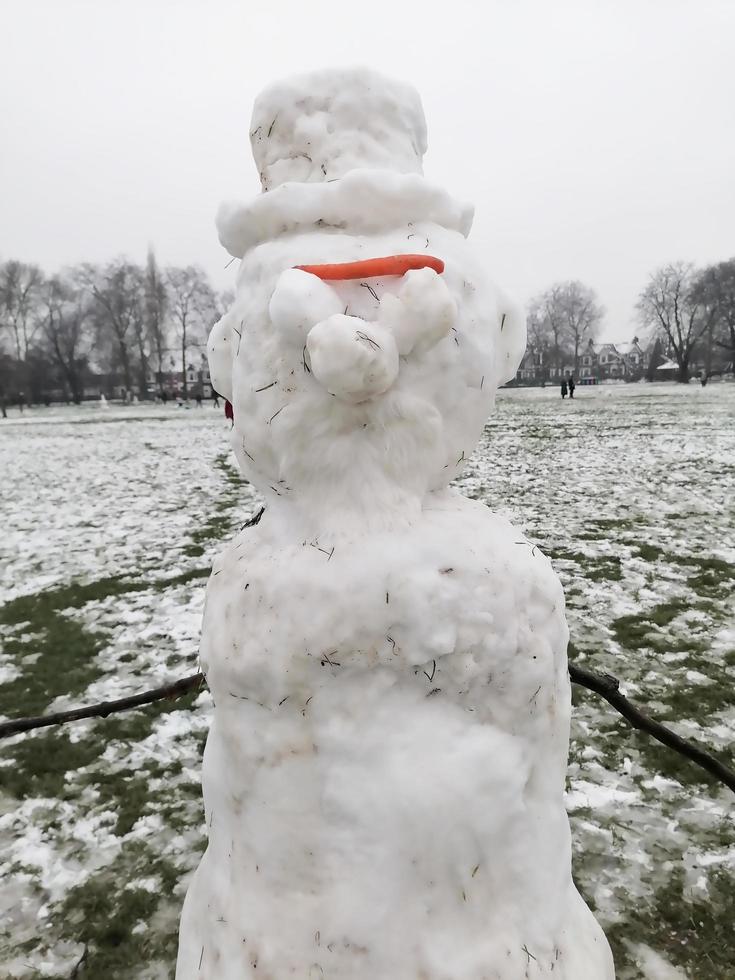 pupazzo di neve nel un' freddo inverno parco foto