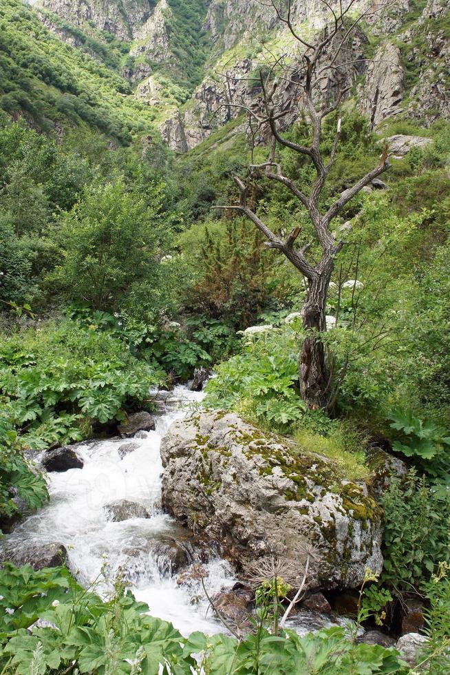 gveleti alto valle, Caucaso montagne, Georgia foto