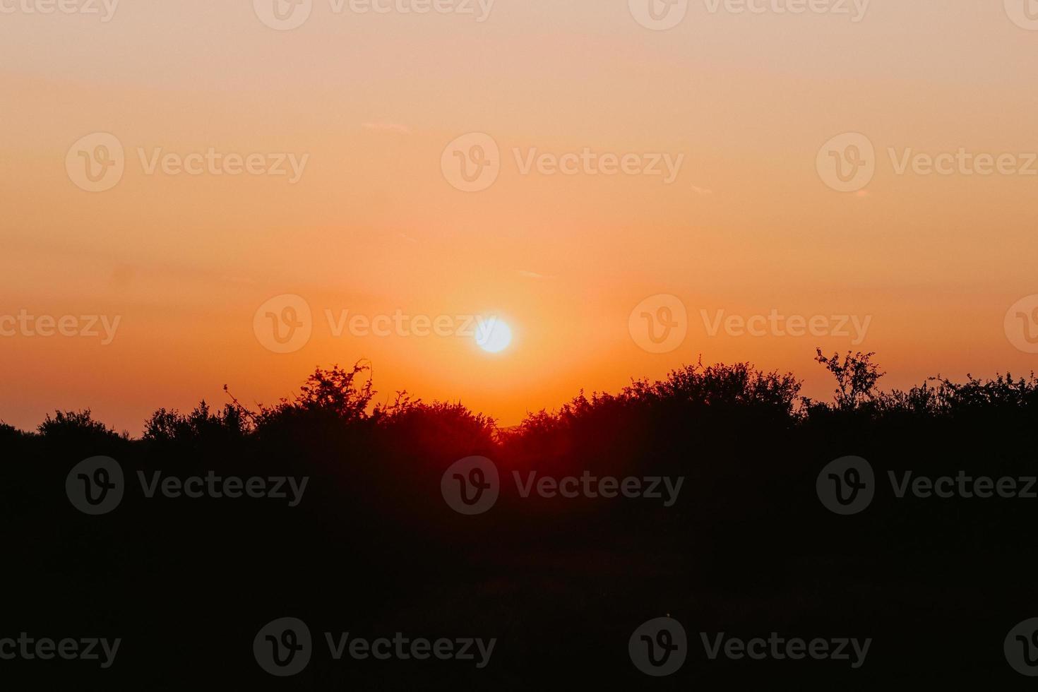 paesaggi di meridionale Africa foto