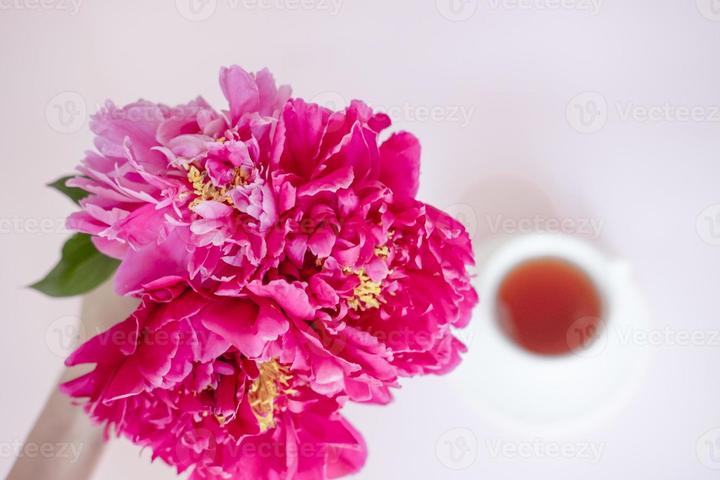 lussureggiante mazzo di Borgogna peonie avvicinamento al di sopra di un' tazza di tè foto
