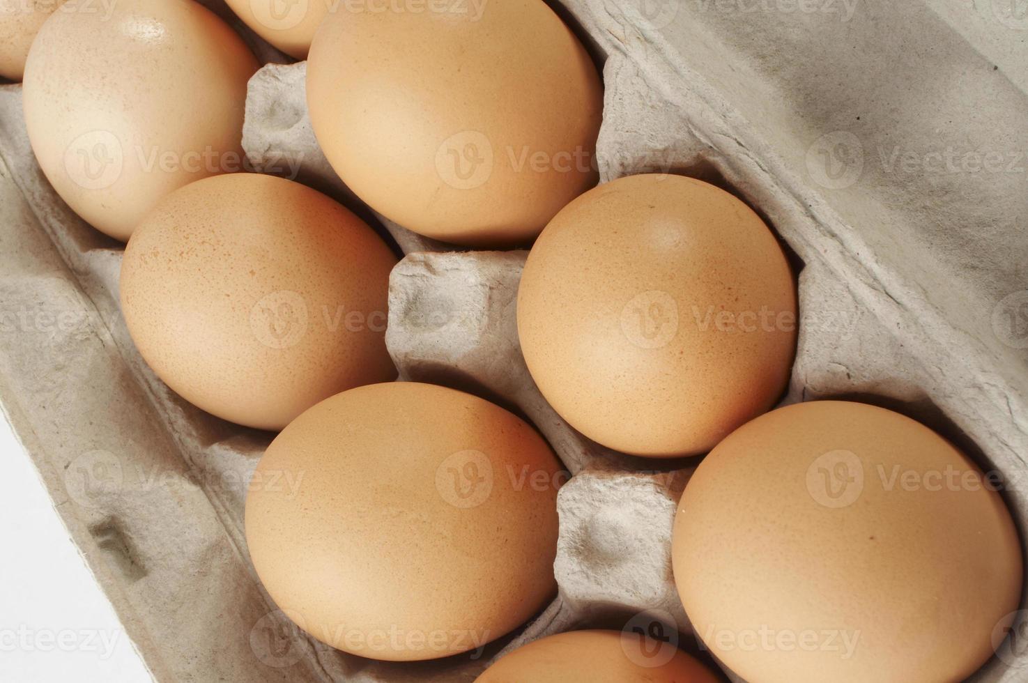un' avvicinamento tiro di un' scatola di cartone di uova su un' bianca sfondo foto
