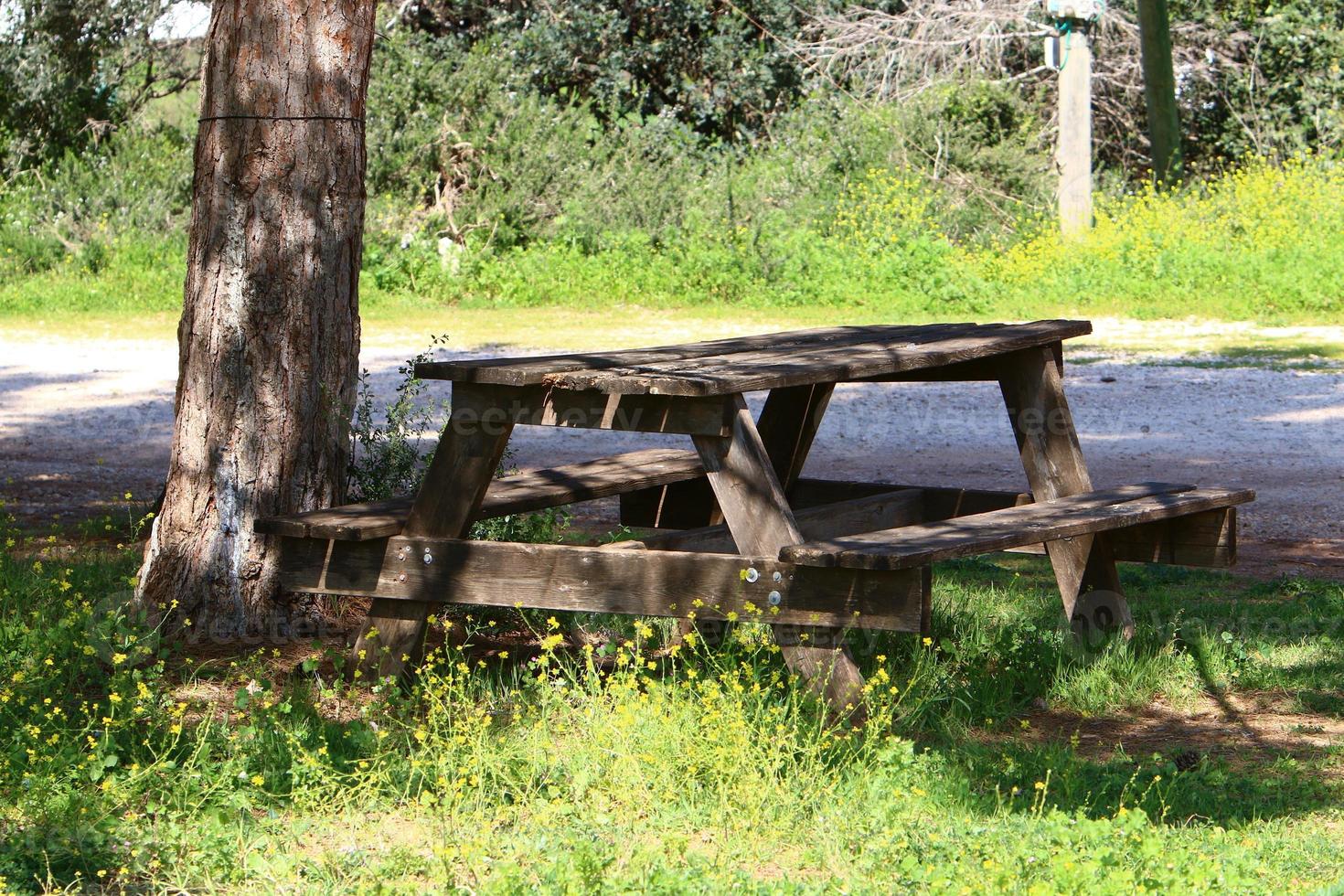 panchina per riposo nel un' città parco nel Israele. foto